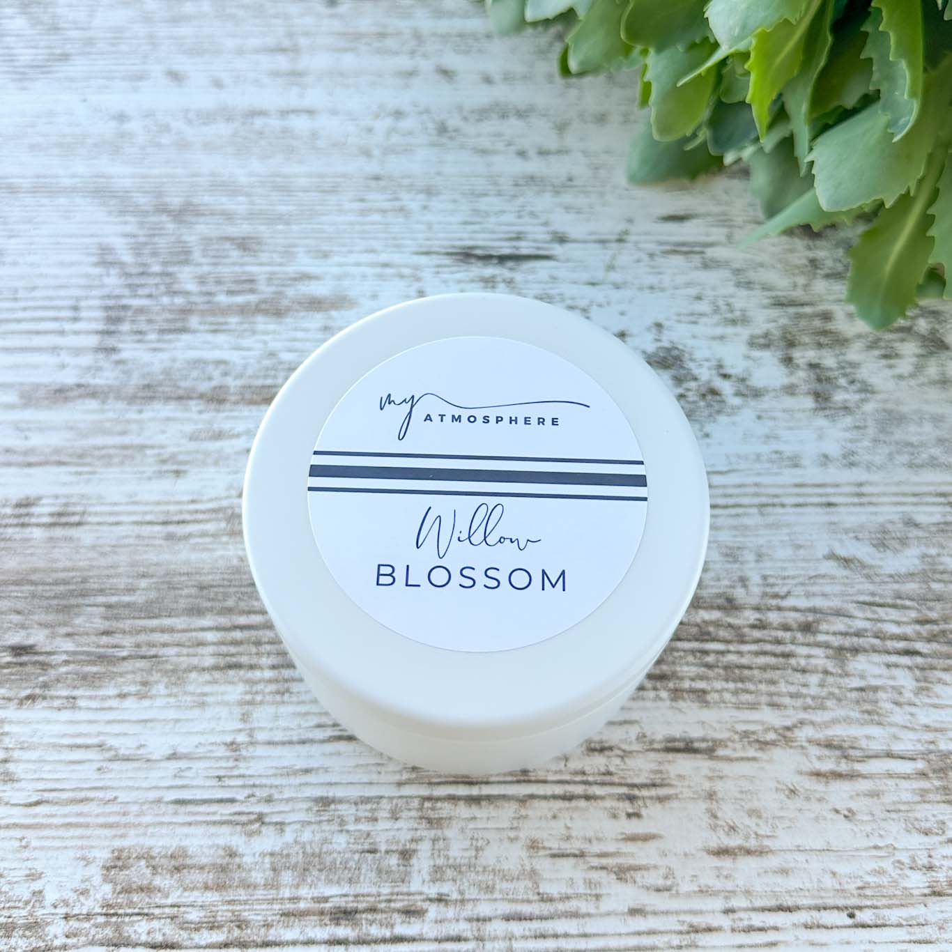 Willow Blossom 5 oz. Candle