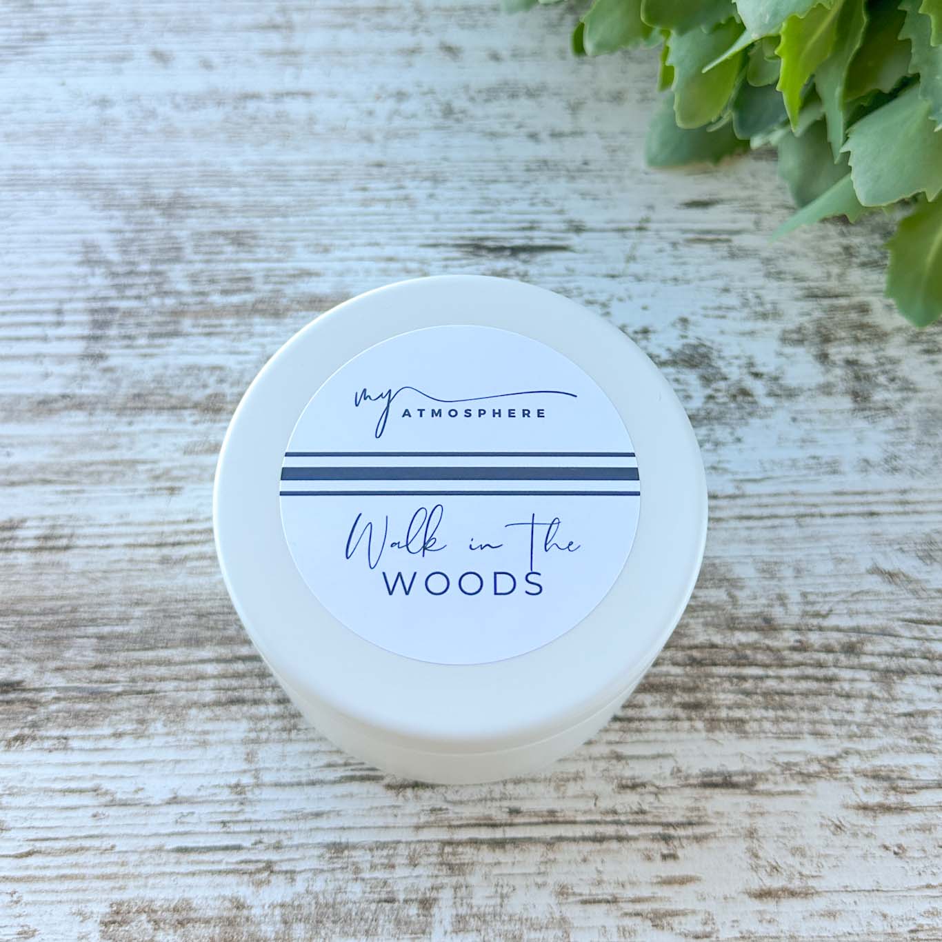 Walk in the Woods 5 oz. Candle